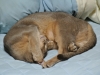 2012-11-05_19-00-58