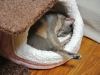 2012-11-22_00-43-28