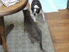 2013-02-01_17-59-50_03