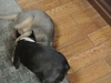 2013-02-01_18-02-12