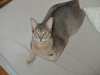 2013-02-06_13-52-48