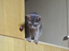 2013-03-23_23-00-59