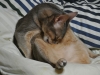 2013-03-25_22-38-38