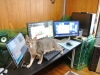 2013-04-30_09-43-36_01