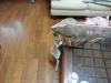 2013-05-31_13-37-59