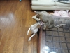 2013-05-31_13-37-59_01