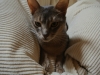2013-12-27_13-15-52