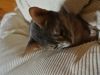 2013-12-27_13-16-28