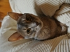 2013-12-27_13-16-33