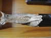20140206_162746