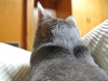 20140316_014047