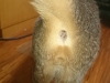 20140521_192248