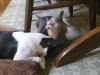 20140607_235340