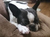 20140608_000619