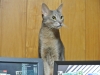 20140919_050623