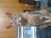 2015-10-20_18-47-19