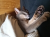 20150224_010218