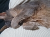 20150307_025456