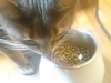 2016-06-04_18-53-51