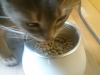 2016-06-04_18-54-04