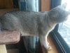 2016-06-13_13-38-55