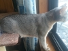 2016-06-13_13-39-03
